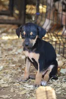 processed/2dd55893-0193-4966-9b86-e150981a06d0/listing/bc481efd-469e-4c17-89f6-d333807e5ad3/9de2c4d1-62ea-41a9-85c4-083a2ba3088e