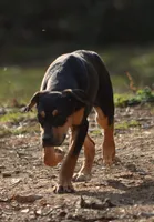 processed/2dd55893-0193-4966-9b86-e150981a06d0/listing/bc481efd-469e-4c17-89f6-d333807e5ad3/e810a688-3741-4796-aa86-9e6f38b08480