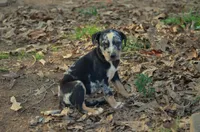 processed/2dd55893-0193-4966-9b86-e150981a06d0/listing/ce21a9d1-7bf1-4dcb-b696-d99166637d79/1c79e998-b212-4070-86b8-1681fc292018