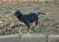 processed/2dd55893-0193-4966-9b86-e150981a06d0/listing/ce21a9d1-7bf1-4dcb-b696-d99166637d79/3ad7af76-4f5e-43bf-b411-487bcfc1665a