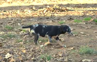 processed/2dd55893-0193-4966-9b86-e150981a06d0/listing/ce21a9d1-7bf1-4dcb-b696-d99166637d79/a9e47f5d-5df6-49ef-8a58-0bf5011bbd42