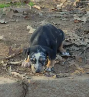 processed/2dd55893-0193-4966-9b86-e150981a06d0/listing/ce21a9d1-7bf1-4dcb-b696-d99166637d79/bb8232e2-2076-4bcf-8f24-ad94295646a6