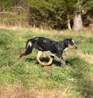 processed/2dd55893-0193-4966-9b86-e150981a06d0/listing/ce21a9d1-7bf1-4dcb-b696-d99166637d79/c566c1ce-9353-4683-9a73-ddad4fb407bb