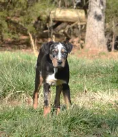 processed/2dd55893-0193-4966-9b86-e150981a06d0/listing/ce21a9d1-7bf1-4dcb-b696-d99166637d79/db2e611d-7e6c-496b-a986-36db0473c5f5