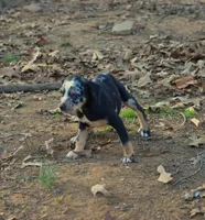 processed/2dd55893-0193-4966-9b86-e150981a06d0/listing/ce21a9d1-7bf1-4dcb-b696-d99166637d79/f01a5919-11b4-4143-9c17-0b69308a716e