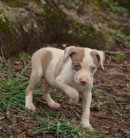 processed/2dd55893-0193-4966-9b86-e150981a06d0/listing/dbbfa54f-86fe-48f4-acd0-ea2caf09e4b8/0039062c-4c84-49bd-b982-eddbfee38b35