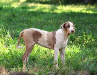 processed/2dd55893-0193-4966-9b86-e150981a06d0/listing/dbbfa54f-86fe-48f4-acd0-ea2caf09e4b8/1b677e23-aee1-42bf-a5a4-80d7cc03c53b