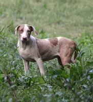 processed/2dd55893-0193-4966-9b86-e150981a06d0/listing/dbbfa54f-86fe-48f4-acd0-ea2caf09e4b8/26401518-cfb6-4a85-aa47-9a41039e5aca