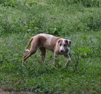 processed/2dd55893-0193-4966-9b86-e150981a06d0/listing/dbbfa54f-86fe-48f4-acd0-ea2caf09e4b8/289ce925-c370-4f29-b3be-dea06e4c7cb5