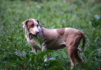 processed/2dd55893-0193-4966-9b86-e150981a06d0/listing/dbbfa54f-86fe-48f4-acd0-ea2caf09e4b8/49584669-b7a2-4d9e-9a49-da01bfa2342a