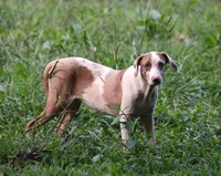 processed/2dd55893-0193-4966-9b86-e150981a06d0/listing/dbbfa54f-86fe-48f4-acd0-ea2caf09e4b8/4aead97f-7b90-48f2-804d-8947b72e93aa