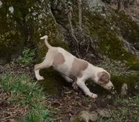 processed/2dd55893-0193-4966-9b86-e150981a06d0/listing/dbbfa54f-86fe-48f4-acd0-ea2caf09e4b8/b1fdcfec-90ea-4974-b152-e2eb32c16401