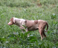 processed/2dd55893-0193-4966-9b86-e150981a06d0/listing/dbbfa54f-86fe-48f4-acd0-ea2caf09e4b8/c93c5025-8e5c-458e-b4cb-159a0e88d3da