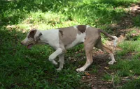 processed/2dd55893-0193-4966-9b86-e150981a06d0/listing/dbbfa54f-86fe-48f4-acd0-ea2caf09e4b8/db94d307-3ddf-492f-bf6d-06d0074073ab