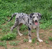 processed/2dd55893-0193-4966-9b86-e150981a06d0/listing/f1371d33-fb29-41ad-969e-46dd07762278/1521cd4c-62ce-4b83-af2c-b1a803f857b7