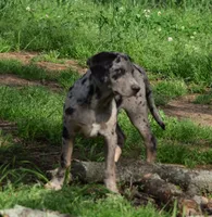 processed/2dd55893-0193-4966-9b86-e150981a06d0/listing/f1371d33-fb29-41ad-969e-46dd07762278/1abf7bf1-2c14-4d4b-b307-c3e7976942df