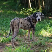 processed/2dd55893-0193-4966-9b86-e150981a06d0/listing/f1371d33-fb29-41ad-969e-46dd07762278/2d90dca3-f7ee-449d-af8d-e46d1022a65f