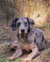 processed/2dd55893-0193-4966-9b86-e150981a06d0/listing/f1371d33-fb29-41ad-969e-46dd07762278/2f363472-027a-4ff1-ada4-510feebe152e