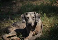 processed/2dd55893-0193-4966-9b86-e150981a06d0/listing/f1371d33-fb29-41ad-969e-46dd07762278/3c4e950f-53db-4087-b2b6-168d8274e162