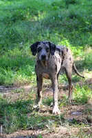 processed/2dd55893-0193-4966-9b86-e150981a06d0/listing/f1371d33-fb29-41ad-969e-46dd07762278/ab204075-69c3-4b19-a893-3e84d8827a0d