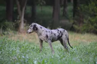 processed/2dd55893-0193-4966-9b86-e150981a06d0/listing/f1371d33-fb29-41ad-969e-46dd07762278/ef3d773d-5d12-4d83-8bfa-73db637614f4