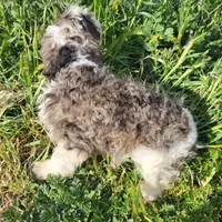 processed/2ddc5e47-5142-490e-8341-f16f3f132bdf/facility/59a89c49-27db-4bf5-a265-780a83db1378