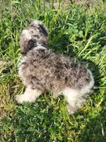 processed/2ddc5e47-5142-490e-8341-f16f3f132bdf/facility/59a89c49-27db-4bf5-a265-780a83db1378