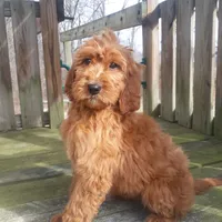 processed/2ddc5e47-5142-490e-8341-f16f3f132bdf/facility/bd6621a5-87f8-43f9-a756-a260d5c33c1a