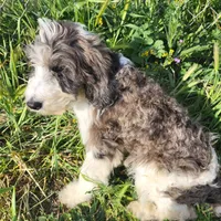 processed/2ddc5e47-5142-490e-8341-f16f3f132bdf/facility/fae42ab1-3872-4845-8168-304a999d25f0