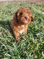 processed/2ddc5e47-5142-490e-8341-f16f3f132bdf/listing/52aea381-cb24-4122-b80e-800094425d7a/2526e187-7dcd-42ce-9ff1-501fb51089f8