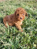 processed/2ddc5e47-5142-490e-8341-f16f3f132bdf/listing/52aea381-cb24-4122-b80e-800094425d7a/85c78b58-da72-4552-83cd-c1615de2f3c7