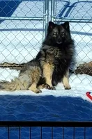 processed/2de40cc6-6ae6-48b0-927c-704288c24da2/listing/a4739a66-98f8-4f4a-97c8-5cf02e0dc4b7/08bcd9bd-ecda-4690-8bfa-97317a5a6cf3