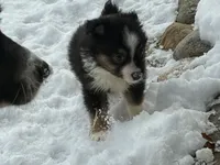 processed/2df07f25-bea8-48de-9d53-e1406869582a/listing/dccd90cb-89af-407b-ae8d-dc12abf9211f/0f15210f-7bff-465b-bc83-a8de75f3c58c