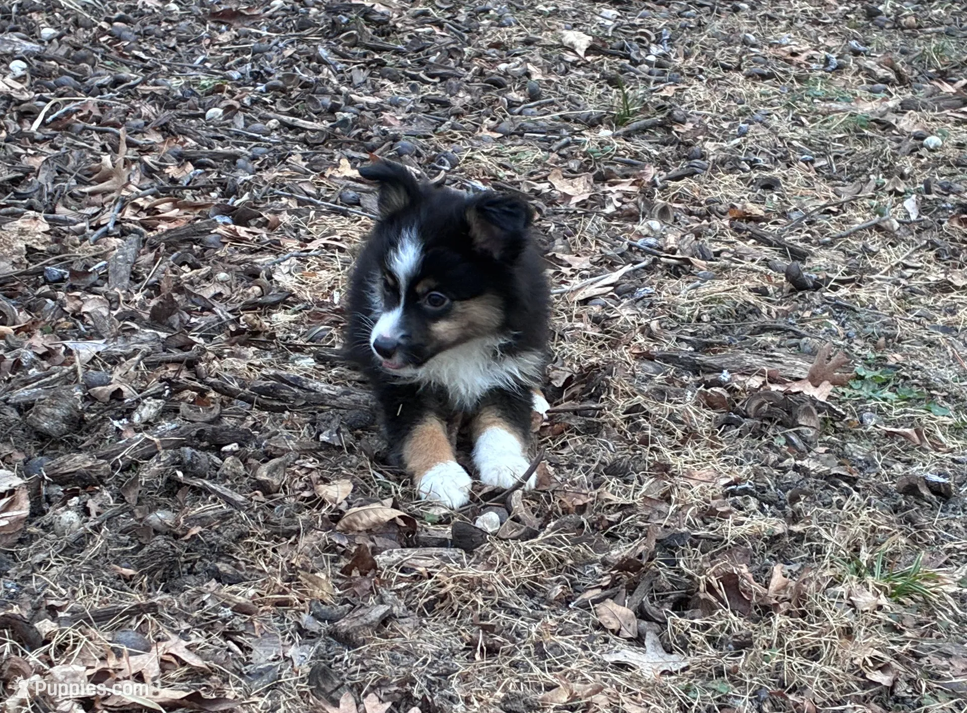 processed/2df07f25-bea8-48de-9d53-e1406869582a/listing/dccd90cb-89af-407b-ae8d-dc12abf9211f/377887a3-7458-4ef7-a1cf-aad3743f8417