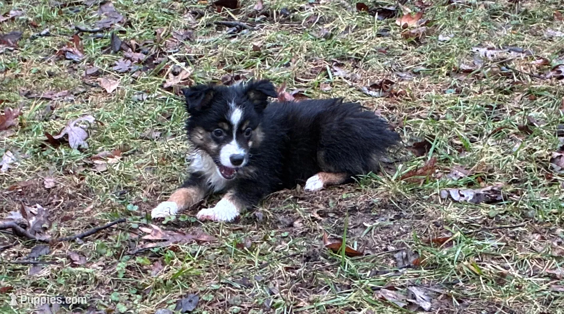 processed/2df07f25-bea8-48de-9d53-e1406869582a/listing/dccd90cb-89af-407b-ae8d-dc12abf9211f/7e95223c-e872-4337-b2b3-440bada2c5c0