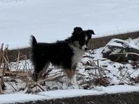 processed/2df07f25-bea8-48de-9d53-e1406869582a/listing/dccd90cb-89af-407b-ae8d-dc12abf9211f/9a36de56-fa6e-4280-821c-ea9ccca38535