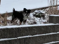 processed/2df07f25-bea8-48de-9d53-e1406869582a/listing/dccd90cb-89af-407b-ae8d-dc12abf9211f/b8989f72-5617-4fc4-97de-cb35c22564e5