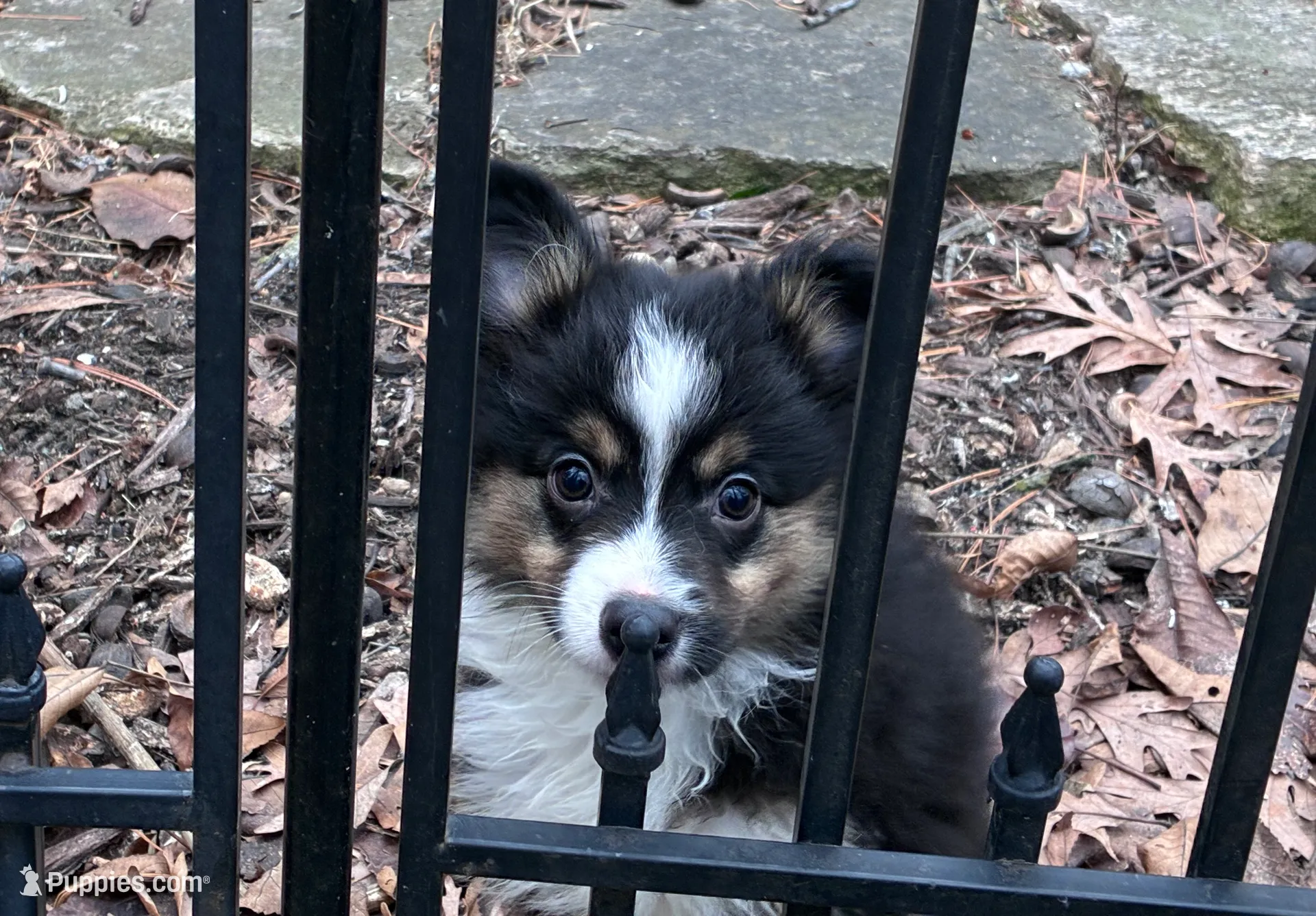 processed/2df07f25-bea8-48de-9d53-e1406869582a/listing/dccd90cb-89af-407b-ae8d-dc12abf9211f/df77f06b-8b1a-4bbb-965e-cb04efade658