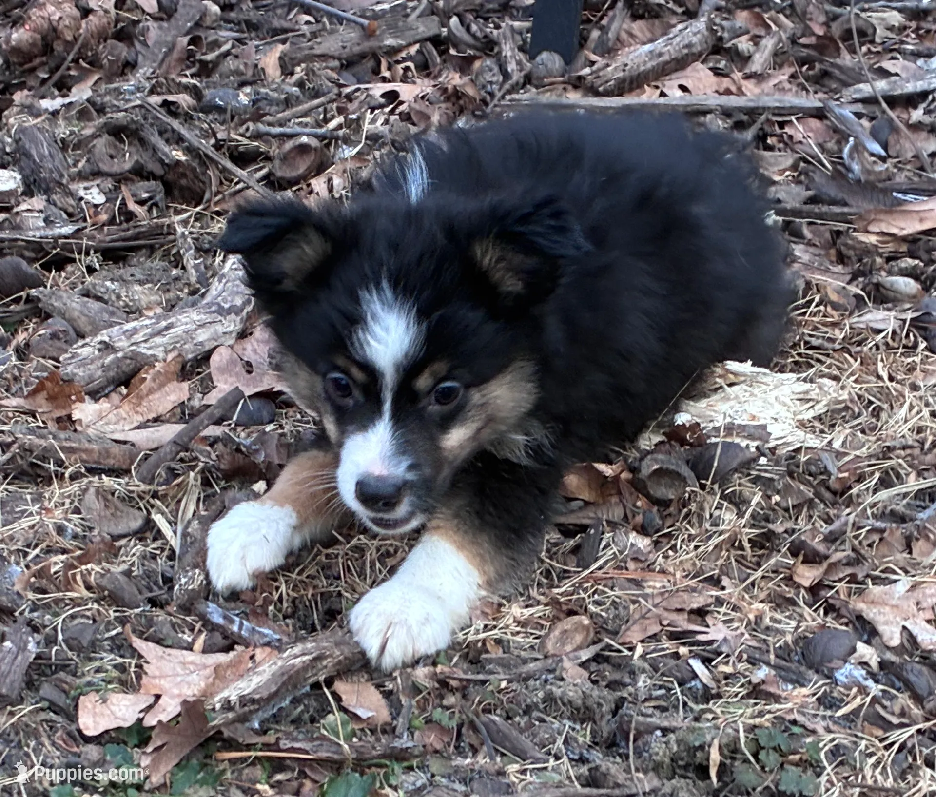 processed/2df07f25-bea8-48de-9d53-e1406869582a/listing/dccd90cb-89af-407b-ae8d-dc12abf9211f/e7223416-b174-4041-8c2a-799d56749be7