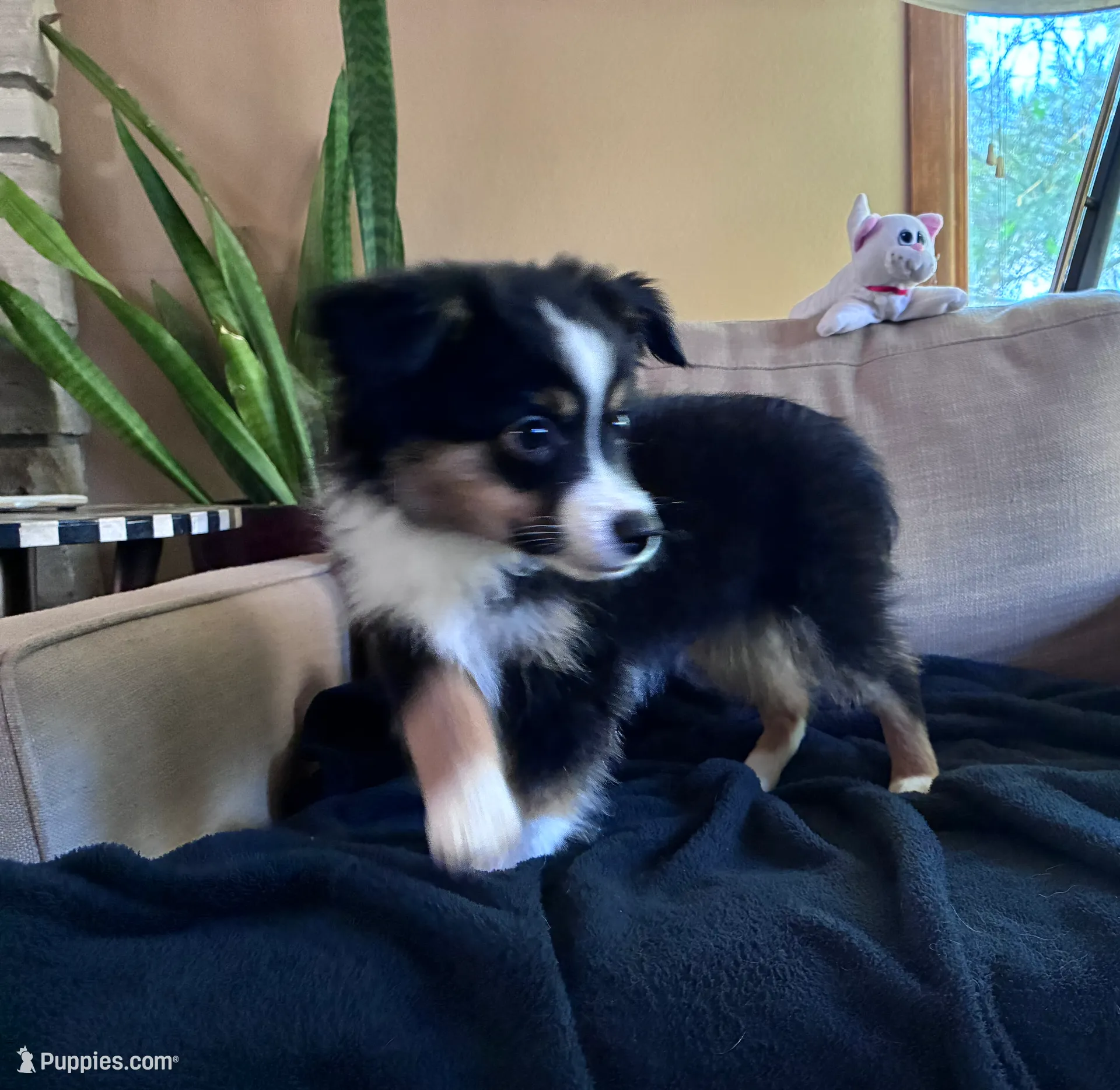 processed/2df07f25-bea8-48de-9d53-e1406869582a/listing/dccd90cb-89af-407b-ae8d-dc12abf9211f/f6bc13d6-27ef-42a2-b921-1f962e043372