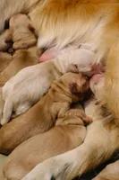 processed/2df7605b-e041-4968-bc87-d3e4757b332c/facility/3736a5c5-54ed-4a2f-9bdb-9bc11b1adcfb