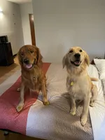 processed/2df7605b-e041-4968-bc87-d3e4757b332c/facility/9bc38897-b195-419d-ab27-d6550090ced2