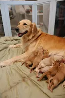 processed/2df7605b-e041-4968-bc87-d3e4757b332c/facility/c3ea6f21-d5da-4827-a8c2-77888b08f707