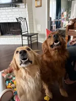 processed/2df7605b-e041-4968-bc87-d3e4757b332c/facility/d7bc0b4a-1aa0-406f-b5a6-998f4cf2dd84