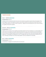 Pink, a female Golden Retriever for sale in Houston, TX – Photo 5 of 5