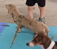 processed/2dfb0751-805d-4891-96f5-64c57731cd8f/listing/cbe5dcfd-e3cb-47a2-8147-5c29daecbe1e/83a5c0b3-787f-4af8-a15b-bd6abaa6eef0