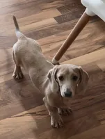 processed/2dfb0751-805d-4891-96f5-64c57731cd8f/listing/cbe5dcfd-e3cb-47a2-8147-5c29daecbe1e/ac7b36d6-b7bd-40a7-aad5-a73e406dc6db