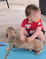 processed/2dfb0751-805d-4891-96f5-64c57731cd8f/listing/cbe5dcfd-e3cb-47a2-8147-5c29daecbe1e/f1f12060-7e69-4502-afa4-f316f12a0689