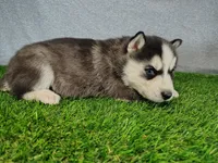 processed/2e0c781c-137b-45e9-b35c-f46ae3b52ab0/listing/0d071a15-535c-4beb-8fb1-faf158276473/b9a516b1-b207-4276-b099-59950b127b87