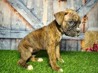 processed/2e0c781c-137b-45e9-b35c-f46ae3b52ab0/listing/226fc577-0cde-41ae-9e8a-6d796397a04f/6c934e66-9a23-41cb-b258-ec2a3fbdc4a2